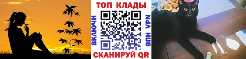 Купить закладку Альфа ПВП  Cocaine  Гашиш  Мефедрон  Марихуана  Сухой Лог