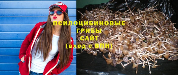 сатива Алексин