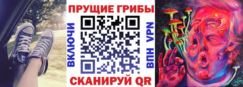 Купить где Сухой Лог Псилоцибиновые грибы ЛСД